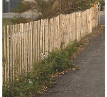 chestnut fence